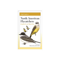 Princeton University Press Field Guide to North American Flycatchers (häftad, eng)