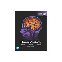 Pearson Education Limited Human Anatomy, Global Edition (häftad, eng)