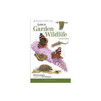 Bloomsbury Publishing PLC Guide to Garden Wildlife (2nd edition) (häftad, eng)