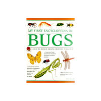 Anness publishing My First Encyclopedia of Bugs (giant Size) (häftad, eng)