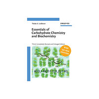 Wiley-VCH Verlag GmbH Essentials of Carbohydrate Chemistry and Biochemistry (häftad, eng)