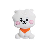 Aurora BT21 RJ Baby 5In