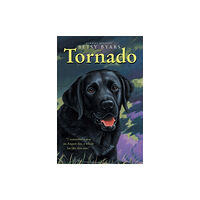 HarperCollins Tornado (häftad, eng)