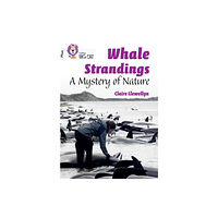 HarperCollins Publishers Whale Strandings: A Mystery of Nature (häftad, eng)