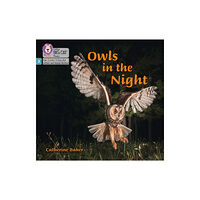 HarperCollins Publishers Owls in the Night (häftad, eng)