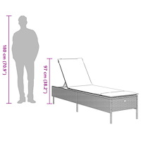 vidaXL Solsängar med dynor 2 st svart konstrotting