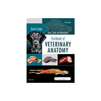 Elsevier - Health Sciences Division Dyce, Sack, and Wensing's Textbook of Veterinary Anatomy (inbunden, eng)