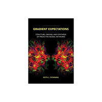 Mit press ltd Gradient Expectations (häftad, eng)