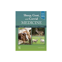 Elsevier - Health Sciences Division Sheep, Goat, and Cervid Medicine (inbunden, eng)