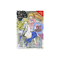 Little, Brown & Company Is It Wrong to Try to Pick Up Girls in a Dungeon? Sword Oratoria, Vol. 1 (manga) (häftad, eng)