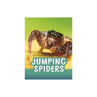 Capstone Global Library Ltd Jumping Spiders (häftad, eng)