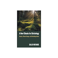 Augsburg Fortress Publishers A New Climate for Christology (häftad, eng)
