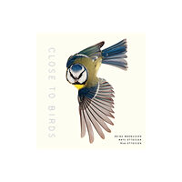 Shambhala Publications Inc Close to Birds (inbunden, eng)