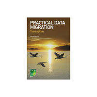 BCS Learning & Development Limited Practical Data Migration (häftad, eng)