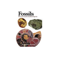 Amber Books Ltd Fossils (häftad, eng)