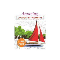 Arcturus publishing ltd Amazing Colour-by-Numbers Large Print (häftad, eng)