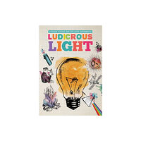 The Secret Book Company Ludicrous Light (häftad, eng)