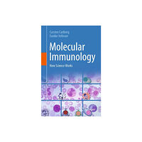 Springer International Publishing AG Molecular Immunology (häftad, eng)