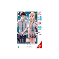 Little, Brown & Company Days with My Stepsister, Vol. 3 (light novel) (häftad, eng)