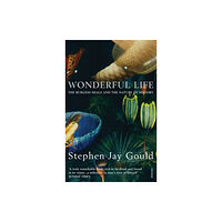 Vintage Publishing Wonderful Life (häftad, eng)