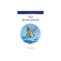Bloomsbury Publishing PLC The Storm-petrels (inbunden, eng)