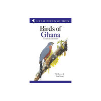 Bloomsbury Publishing PLC Field Guide to the Birds of Ghana (häftad, eng)