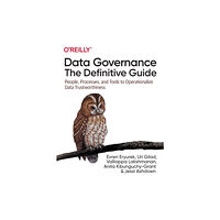 O'Reilly Media Data Governance: The Definitive Guide (häftad, eng)