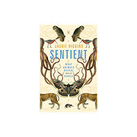 Pan Macmillan Sentient (häftad, eng)