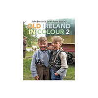 Merrion Press Old Ireland in Colour 2 (inbunden, eng)