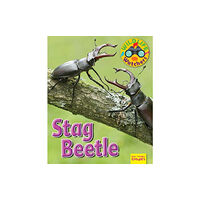 Ruby Tuesday Books Ltd Wildlife Watchers: Stag Beetle (häftad, eng)