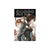 Little, Brown & Company Bungo Stray Dogs, Vol. 3 (light novel) (häftad, eng)