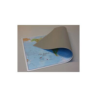 Maps International Ltd Mousepad world