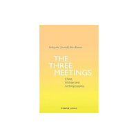 Temple Lodge Publishing The Three Meetings (häftad, eng)