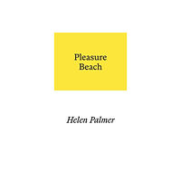 Prototype Publishing Ltd. Pleasure Beach (häftad, eng)