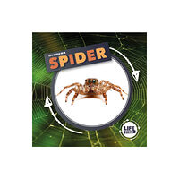 BookLife Publishing Life Cycle Of A Spider (inbunden, eng)