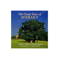 The Dovecote Press The Great Trees of Dorset (häftad, eng)