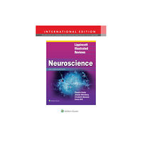 Lippincott Williams and Wilkins Lippincott Illustrated Reviews: Neuroscience (häftad, eng)