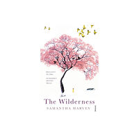 Vintage Publishing The Wilderness (häftad, eng)