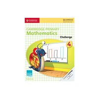Cambridge University Press Cambridge Primary Mathematics Challenge 4 (häftad, eng)