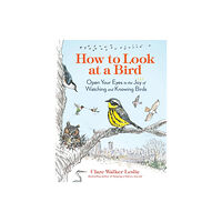 Workman Publishing How to Look at a Bird (häftad, eng)