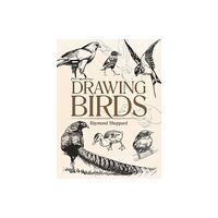 Dover publications inc. Drawing Birds (häftad, eng)