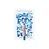 And Other Stories Lightning Rods (häftad, eng)