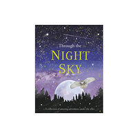 Dorling Kindersley Ltd Through the Night Sky (inbunden, eng)