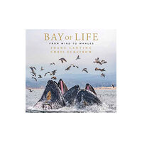 Insight Editions Bay of Life (inbunden, eng)