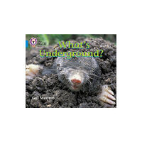 HarperCollins Publishers What’s Underground (häftad, eng)