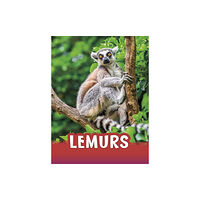 Capstone Global Library Ltd Lemurs (häftad, eng)
