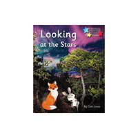 Ransom Publishing Looking at the Stars (häftad, eng)