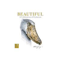 Templar Publishing Beautiful (inbunden, eng)