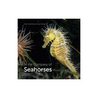 Wild Nature Press In the Company of Seahorses (inbunden, eng)