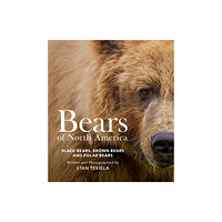 Adventure Publications, Incorporated Bears of North America (häftad, eng)